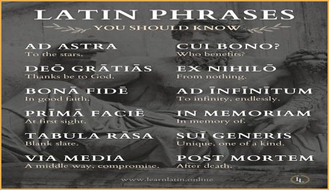 A Profile Of A Latin Beauty